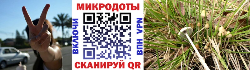 Псилоцибиновые грибы Psilocybe  Уфа 